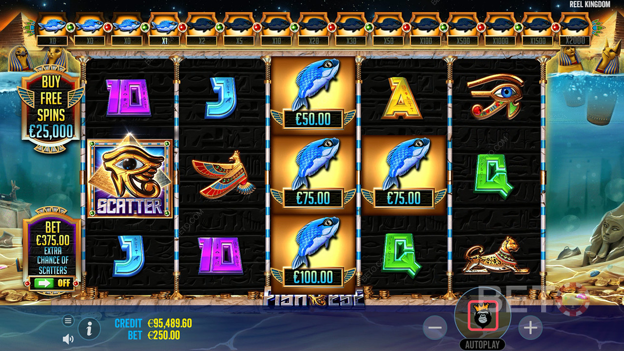 Les bonus expliqués dans Fish Eye par Reel Kingdom