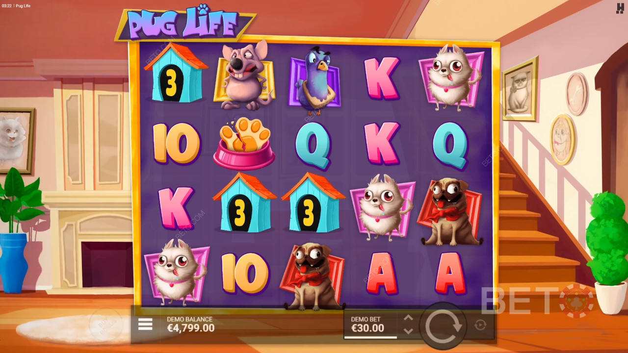 Pug Life Revue par BETO Slots