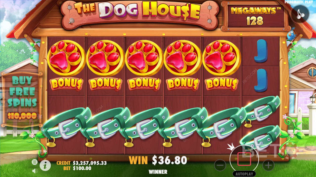 Une interface de jeu détaillée des machines à sous du casino The Dog House Megaways.