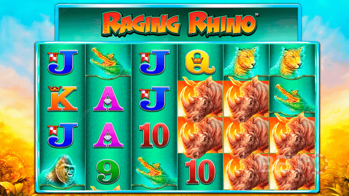 Des symboles colorés, basés sur la vie sauvage, dans Raging Rhino.