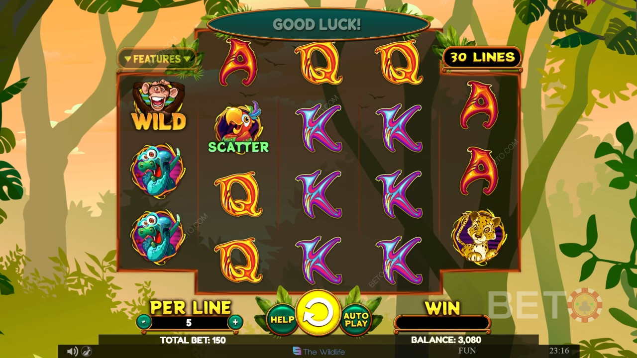 Wacky Monkey Critique de BETO Slots