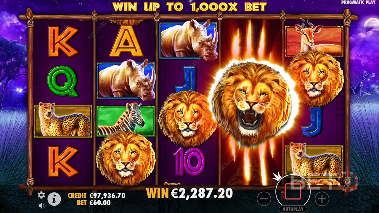 Safari King (Pragmatic Play)  Jeu Gratuit