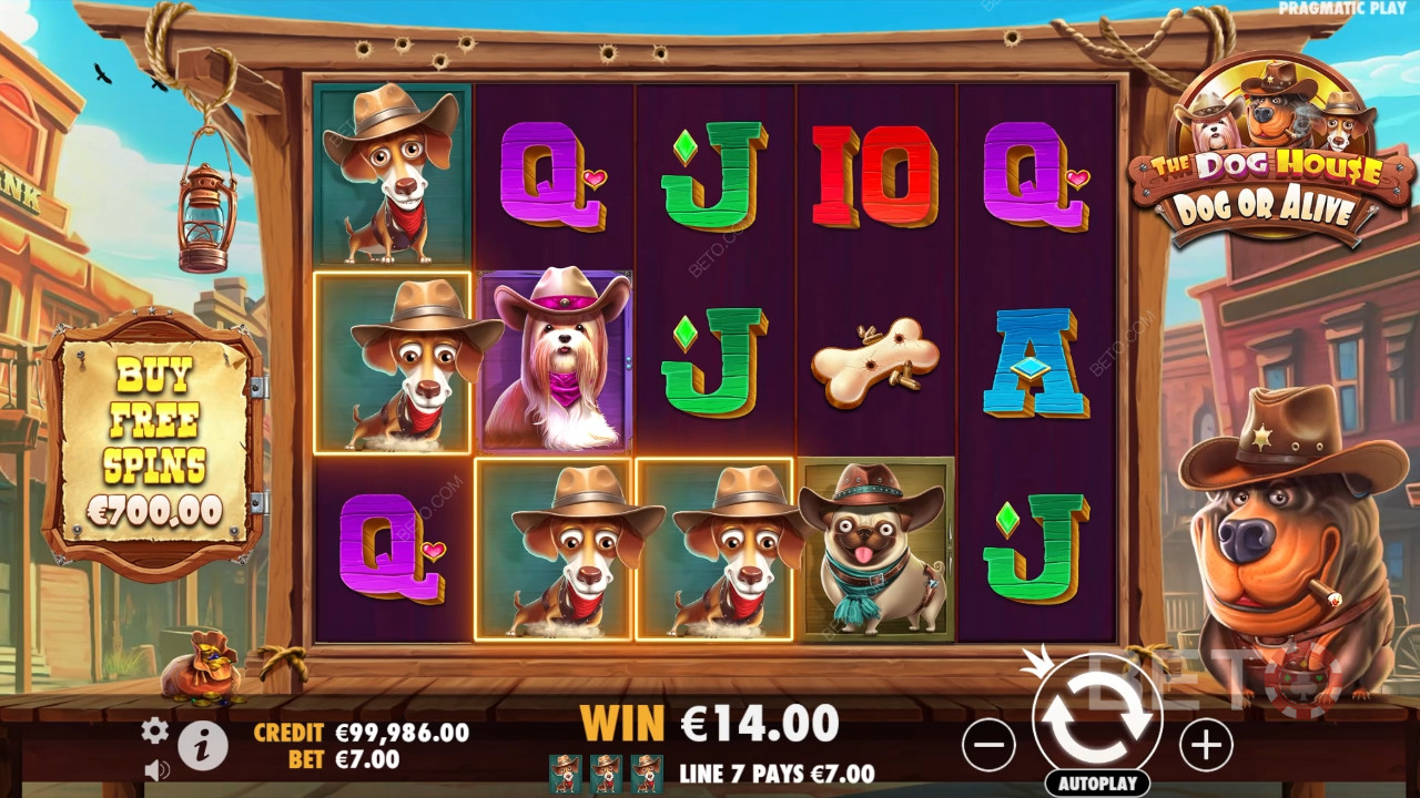 Thème et conception : Wild West Dogs