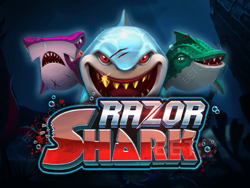 Machine à sous en ligne Razor Shark