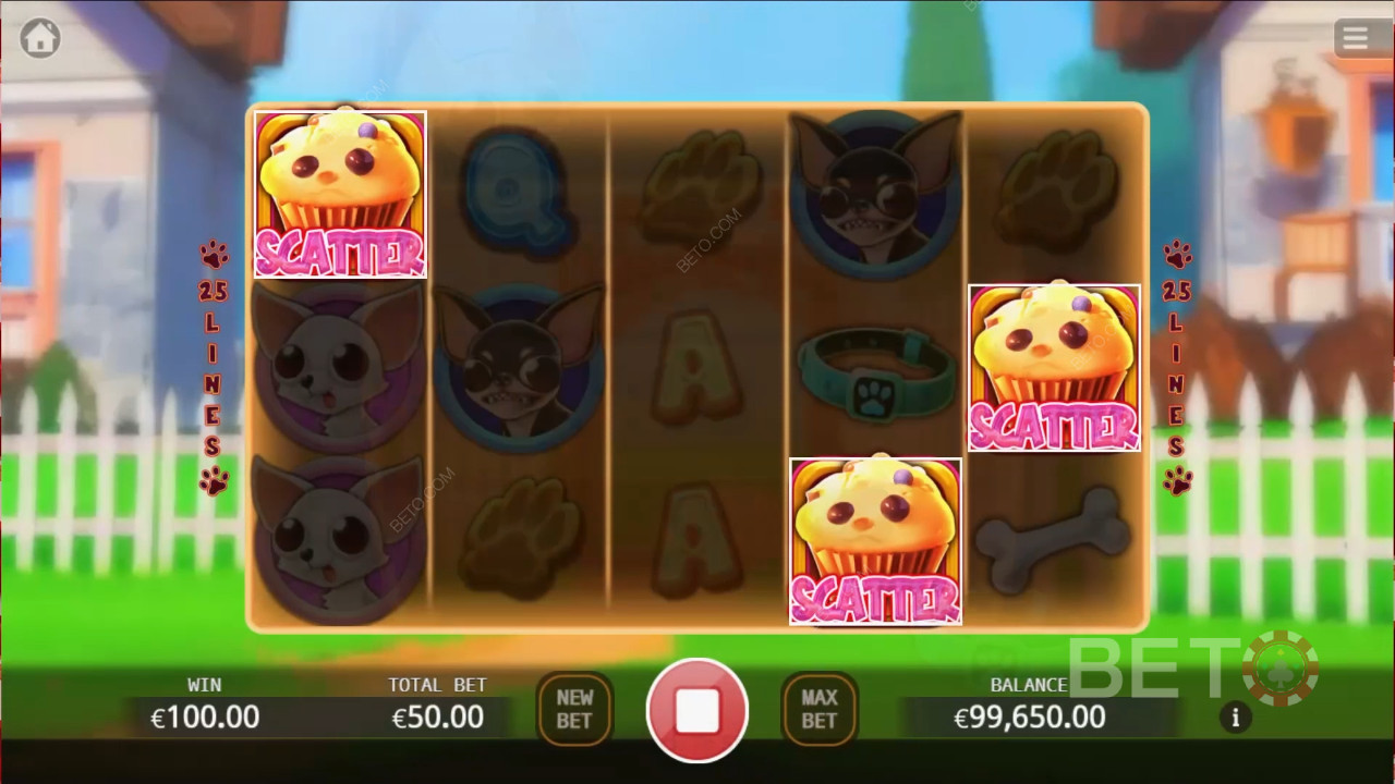 Chihuahua Party Jeu Gratuit