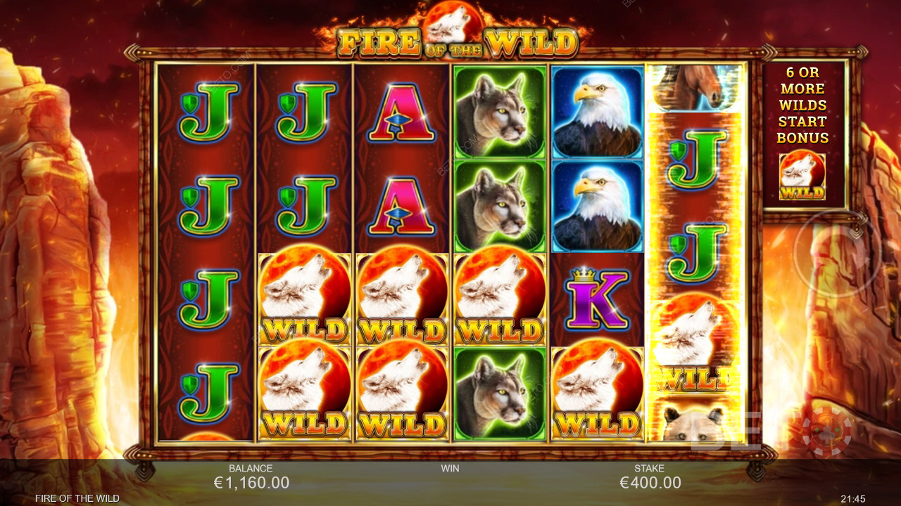 Fire of the Wild Jeu Gratuit