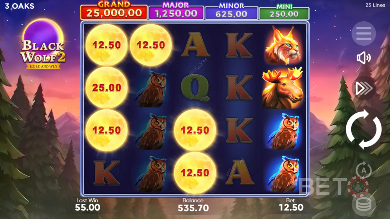 Black Wolf 2 Jeu Gratuit