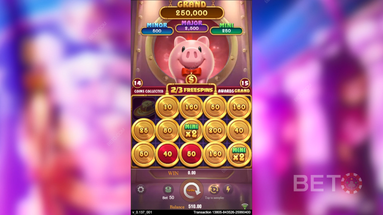 Thème et conception : Richesse porcine luxueuse