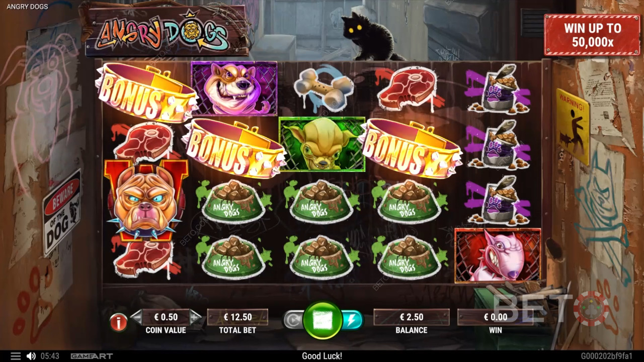 Angry Dogs Jeu Gratuit