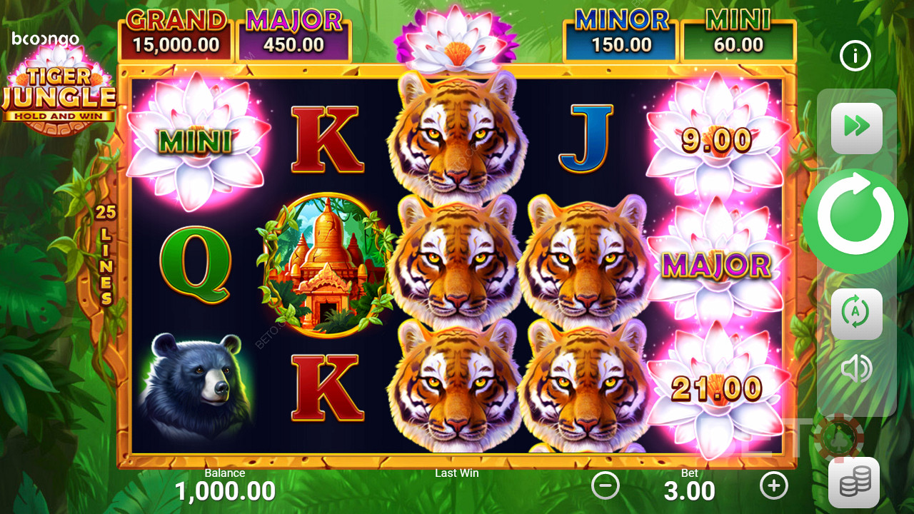 Obtenez des jackpots dans des machines à sous comme Tiger Jungle Hold and Win.