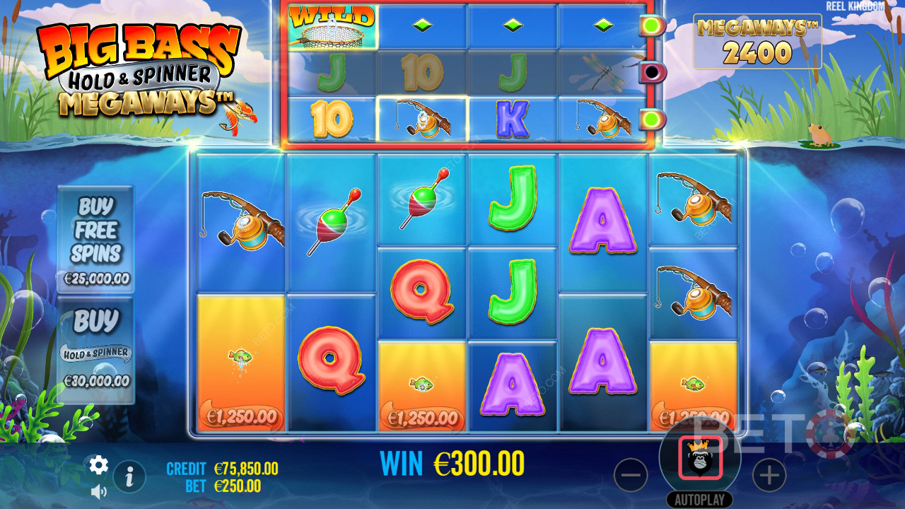 Comment jouer de Reel Kingdom