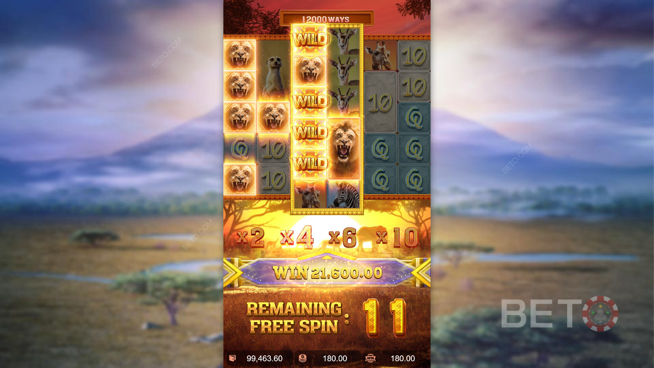 Les fonctions bonus expliquées dans Safari Wilds par PG Soft