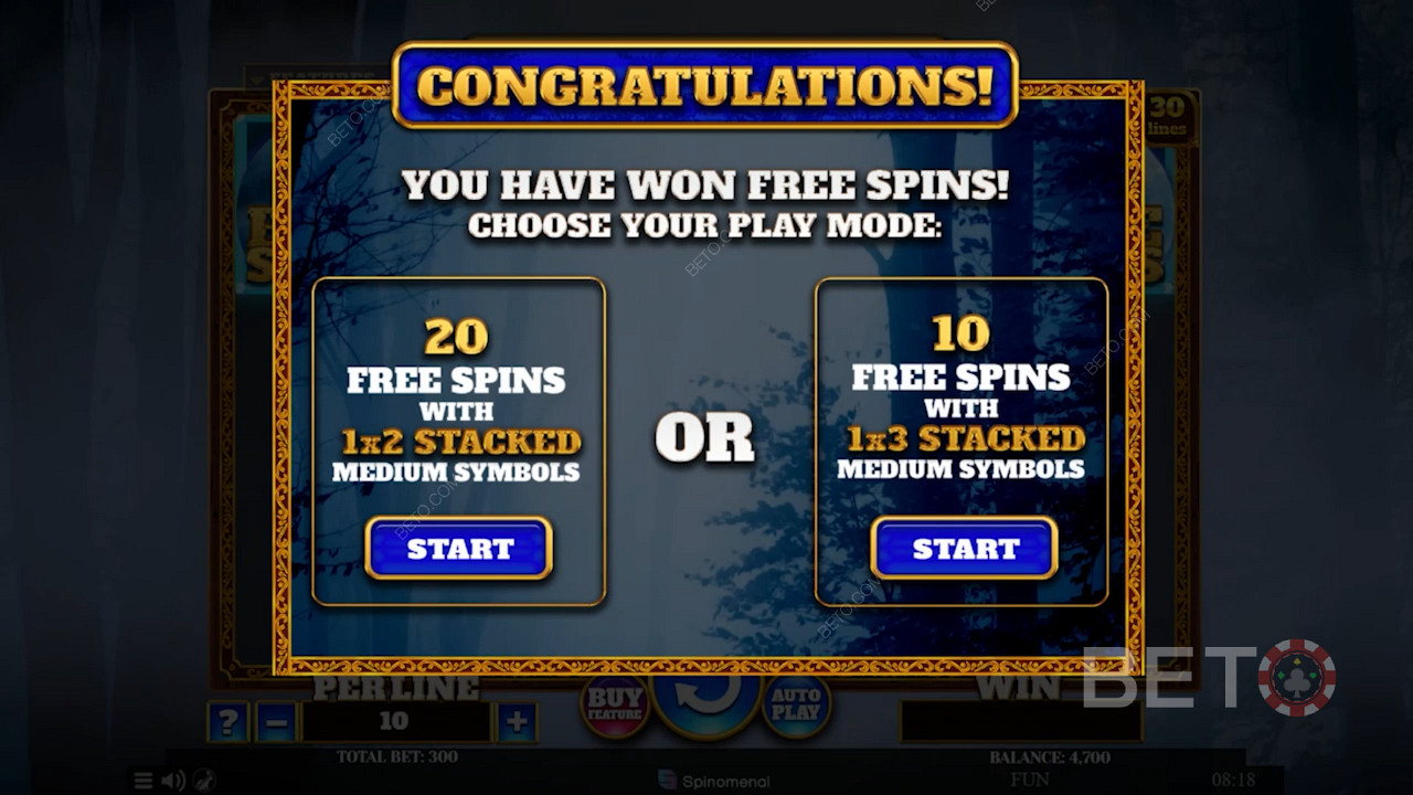 Activez le mode Spins gratuits et choisissez parmi 2 types de bonus Spins gratuits