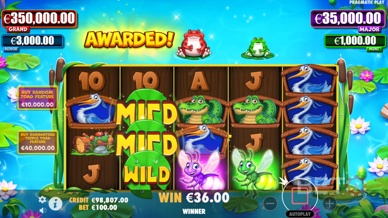Tiny Toads Critique de BETO Slots
