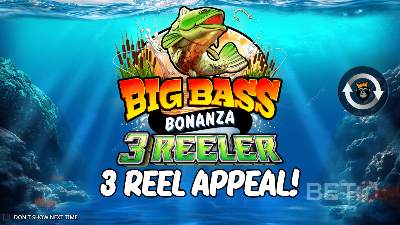 Comment jouer à Reel Kingdom