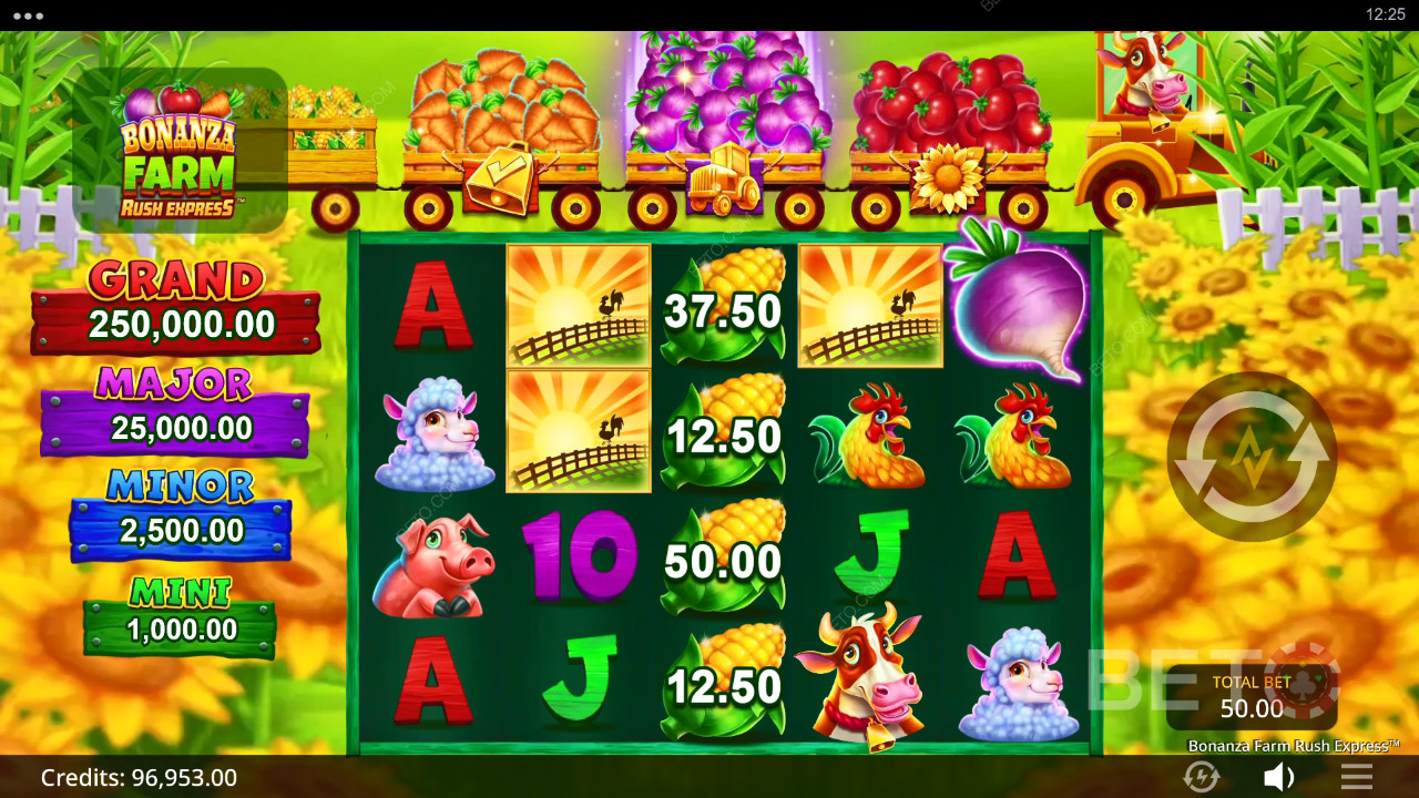 Bonanza Farm Rush Express Review par BETO Slots