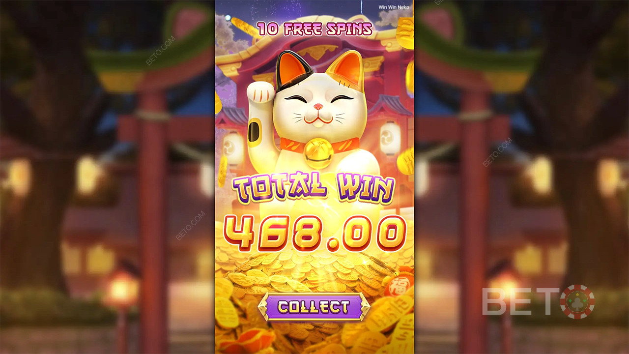 Win Win Neko - Oui ou non