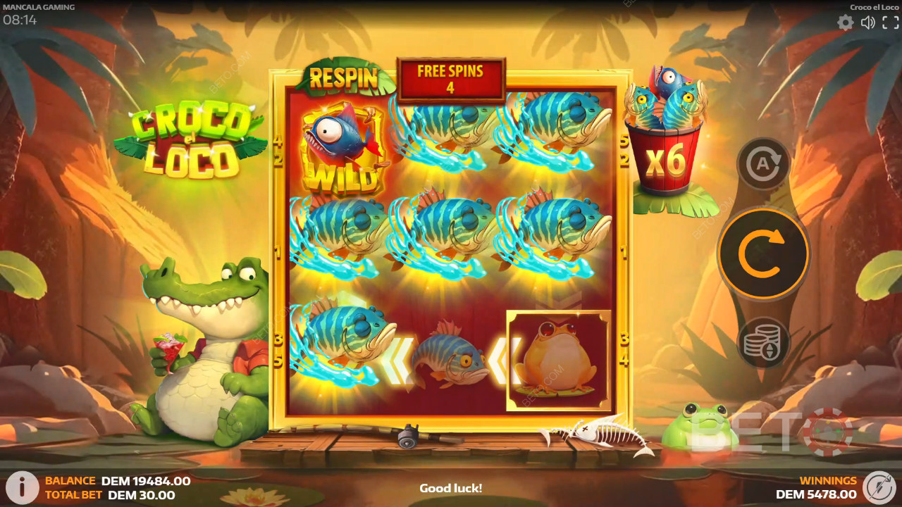 Croco el Loco Jeu Gratuit