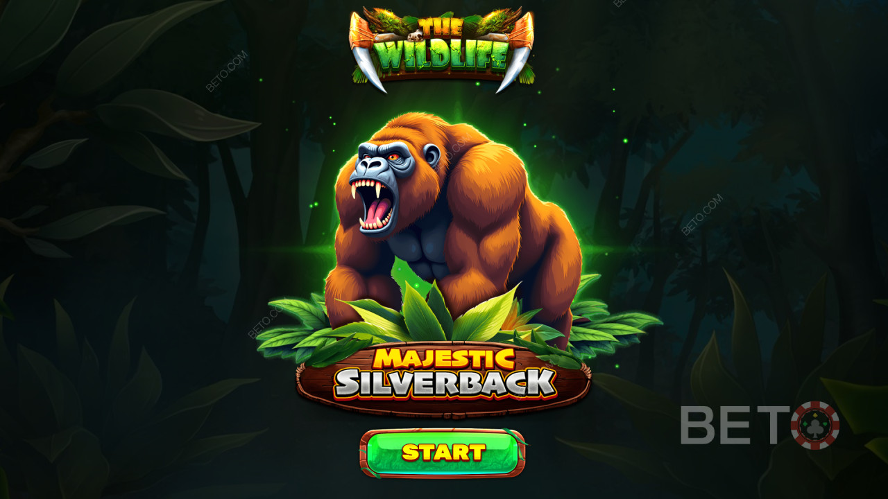Les bonus expliqués dans Majestic Silverback par Spinomenal
