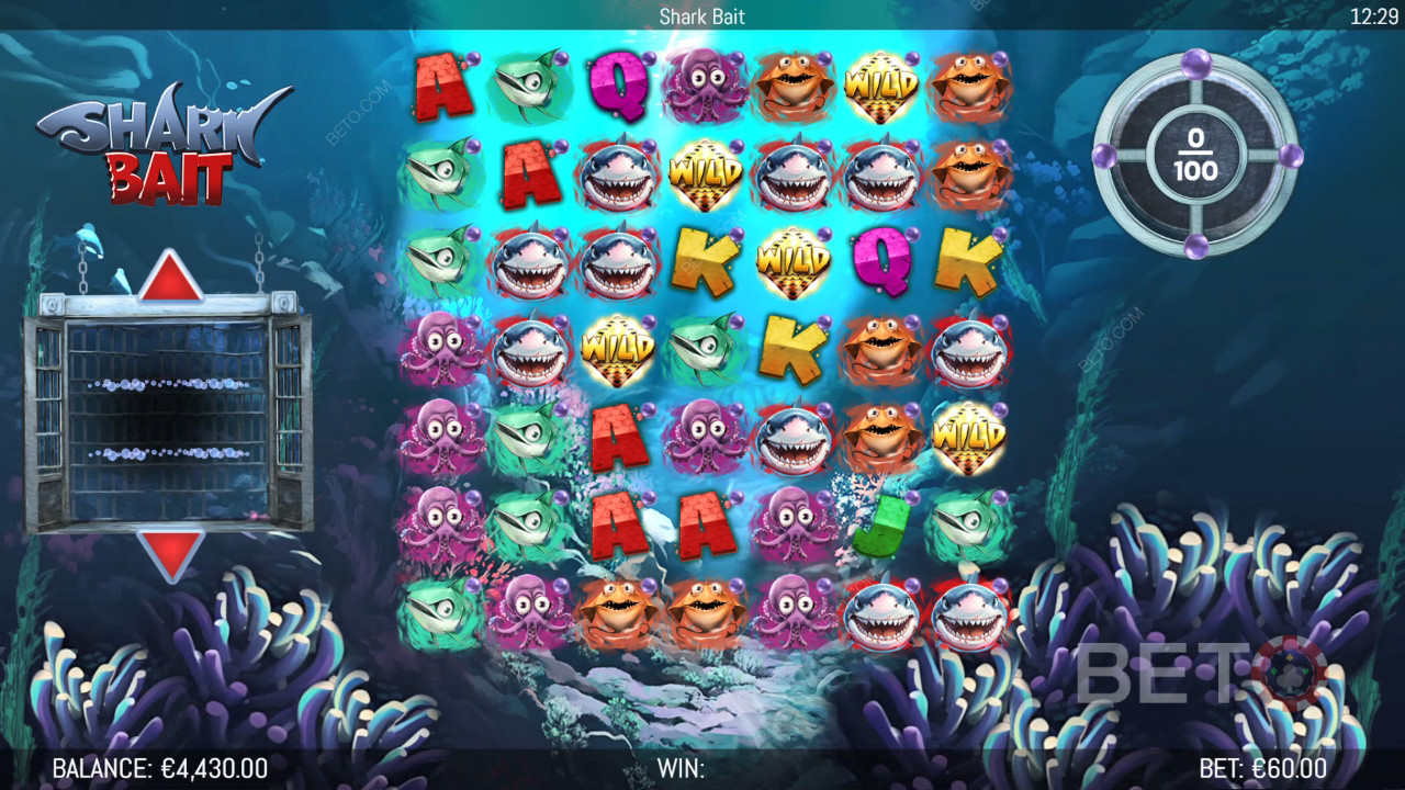 Les bonus expliqués dans Shark Bait par Hungry Bear