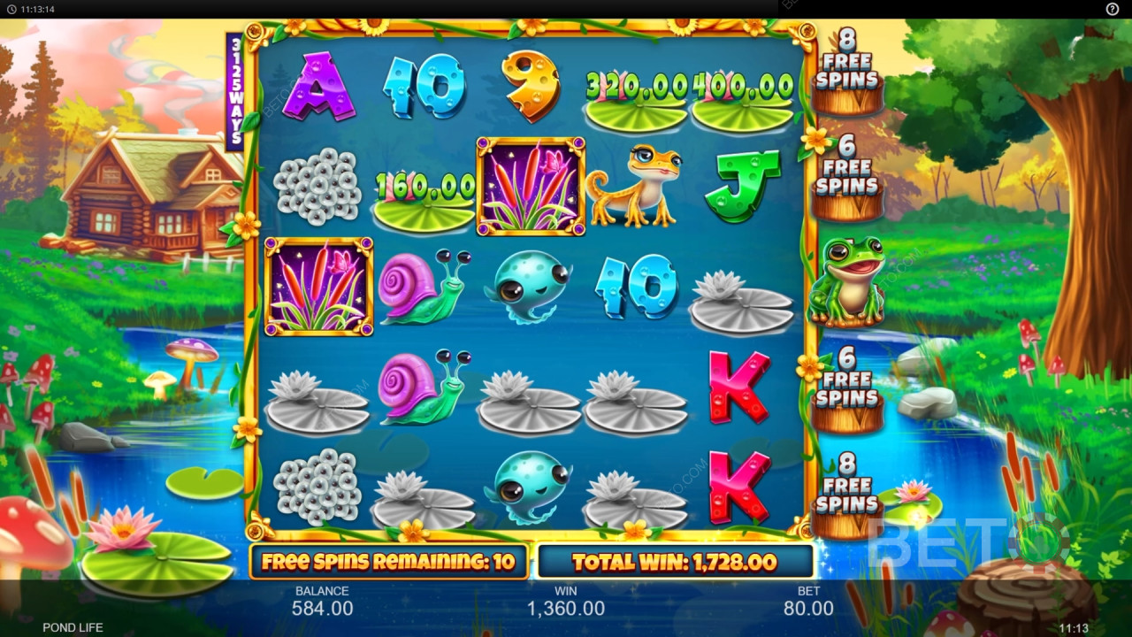 Les bonus expliqués dans Pond Life par Inspired Gaming