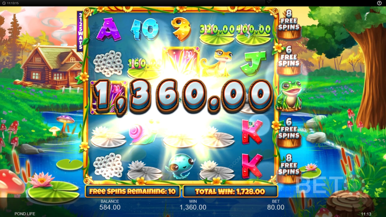 Pond Life Revue par BETO Slots