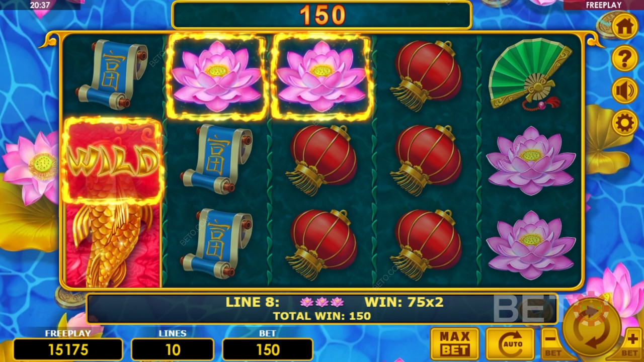 Les bonus expliqués dans Golden Fish par Amatic Industries