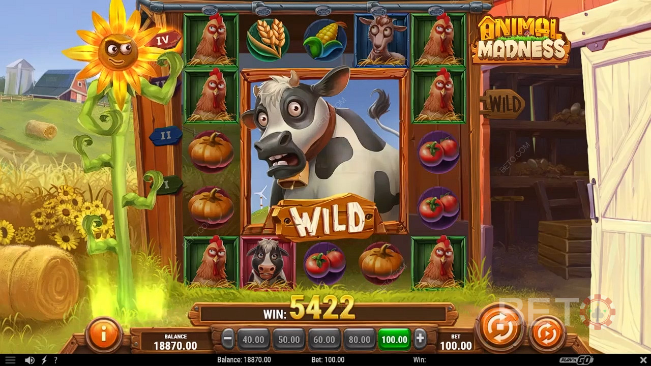 Animal Madness Jeu Gratuit