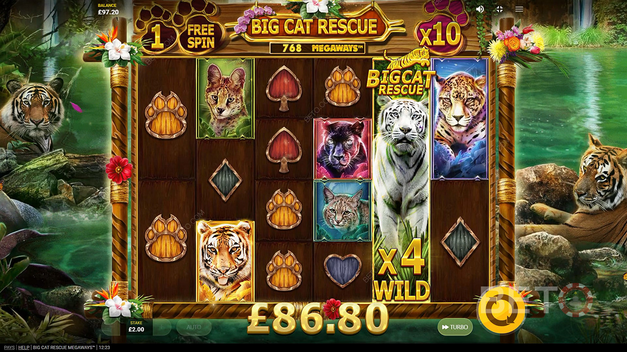Big Cat Rescue Megaways Jeu Gratuit