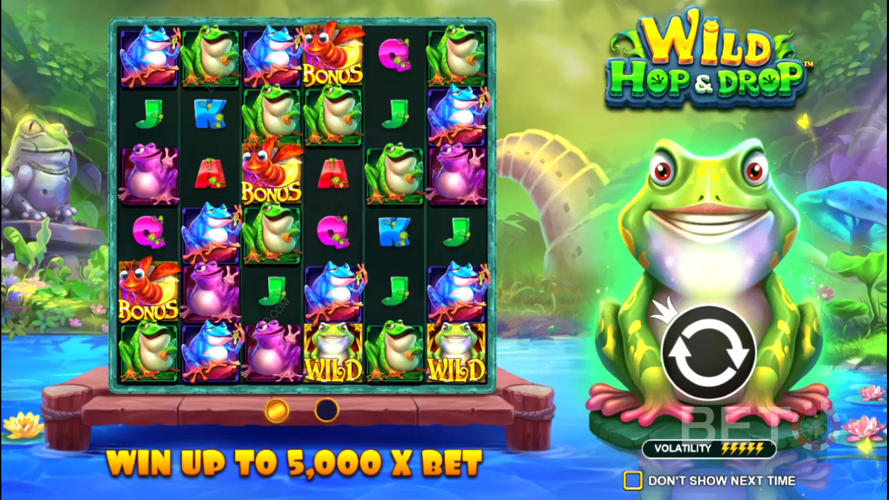 Machine à sous en ligne Wild Hop and Drop - Notre verdict