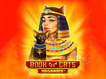 Book of Cats Megaways Démo