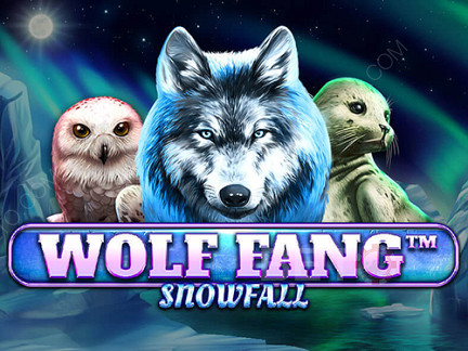 Wolf Fang Snowfall Démo