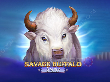 Savage Buffalo Spirit Démo