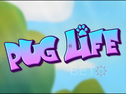 Pug Life Démo