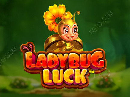 Ladybug Luck  Démo