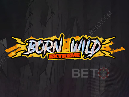 Born Wild Démo