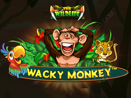 Wacky Monkey Démo