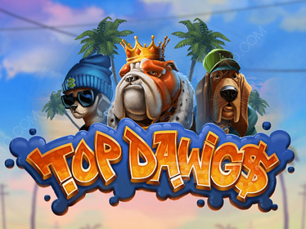 Top Dawgs Démo