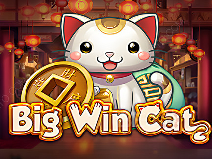 Big Win Cat Démo