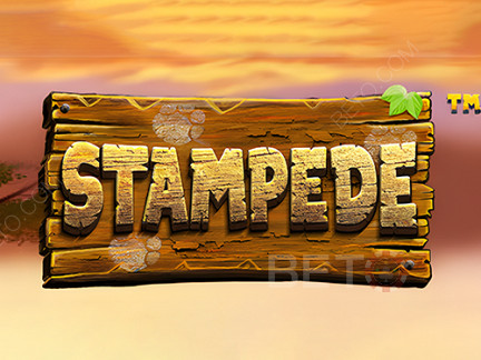 Stampede (Betsoft)  Démo