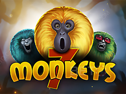7 Monkeys  Démo