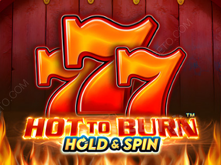 Hot To Burn Hold And Spin Démo