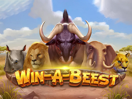 Win A Beest Démo
