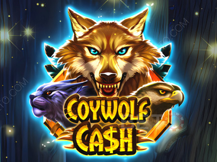 Coywolf Cash Démo