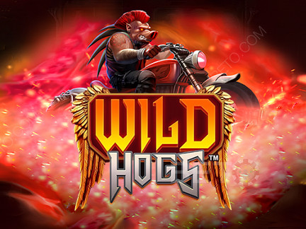 Wild Hogs Démo