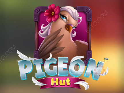 Pigeon Hut Démo