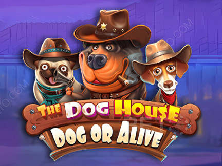The Dog House - Dog or Alive Démo