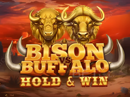 Bison vs Buffalo Démo