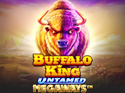 Buffalo King Untamed Megaways Démo