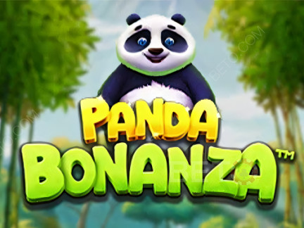 Panda Bonanza Démo